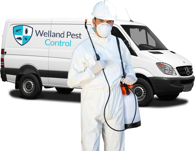 welland pest control