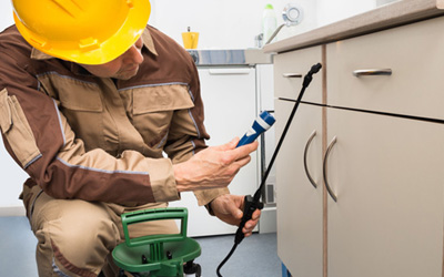 Pest-Control-Service